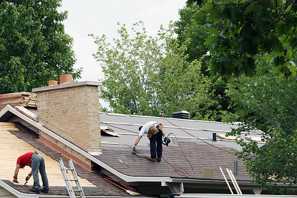 Best Roof Repair Services  in Lake In The Hls, IL