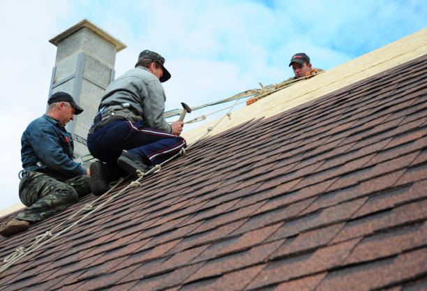 Best Roof Waterproofing Services  in Lake In The Hls, IL