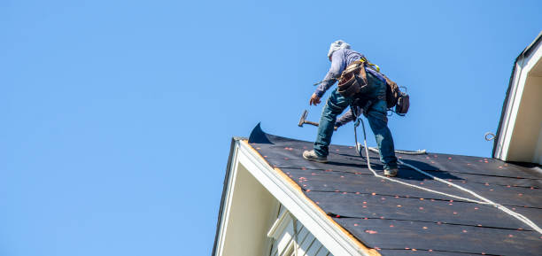Best Residential Roofing Contractor  in Lake In The Hls, IL